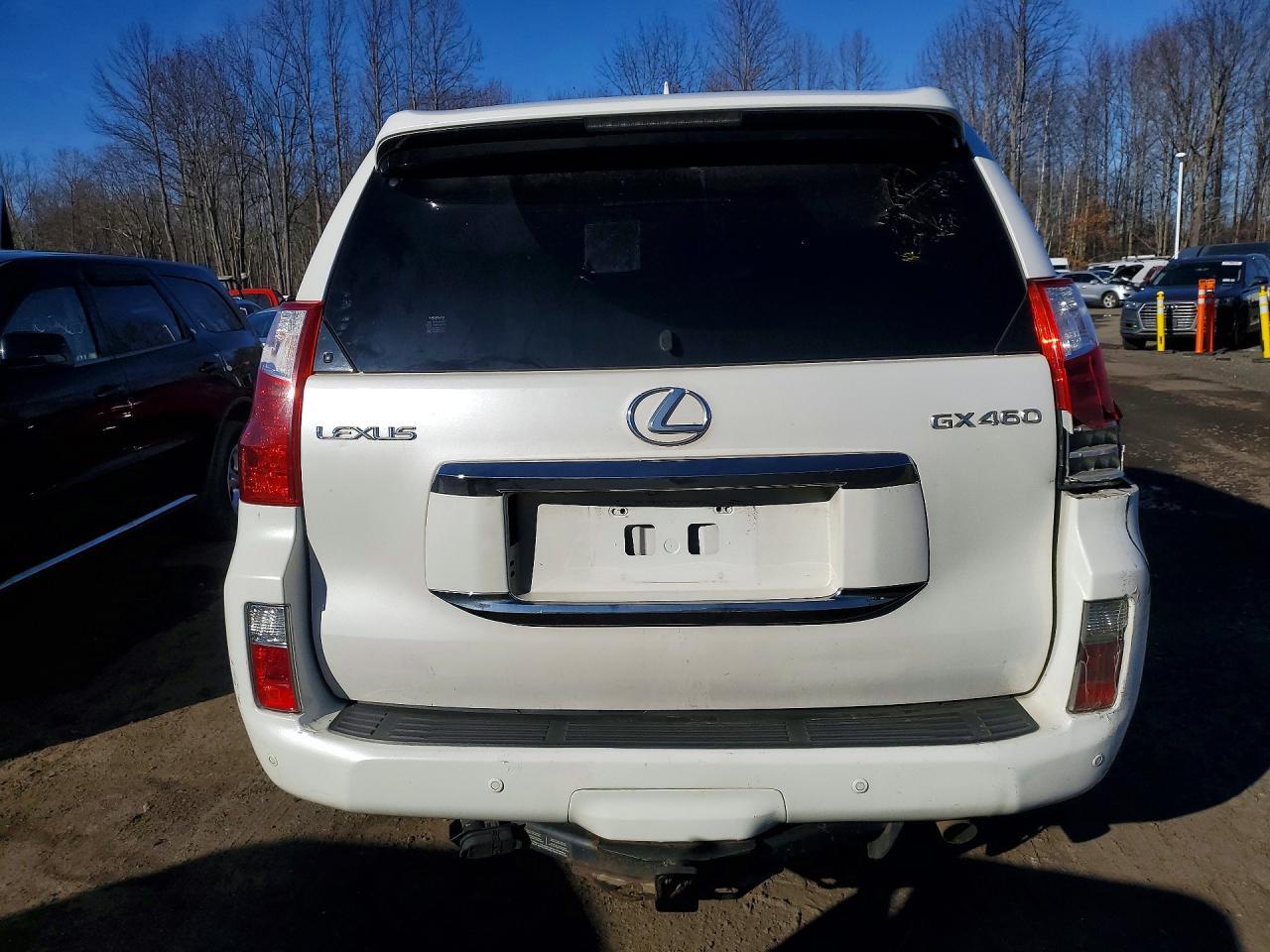 2010 LEXUS GX 460