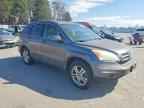 2010 HONDA CR-V