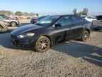 2013 DODGE Dart