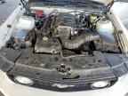 2008 FORD MUSTANG