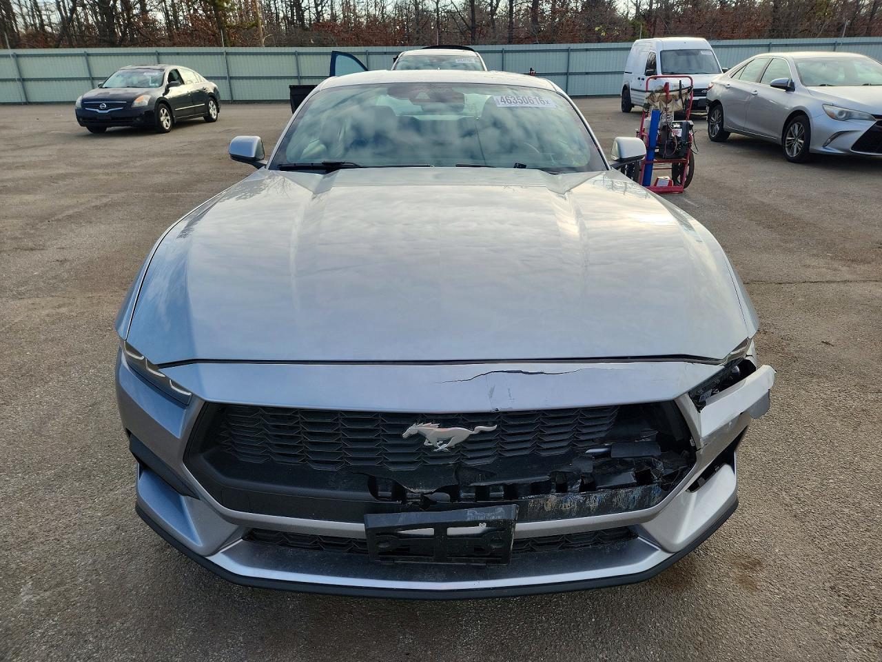 2024 FORD MUSTANG