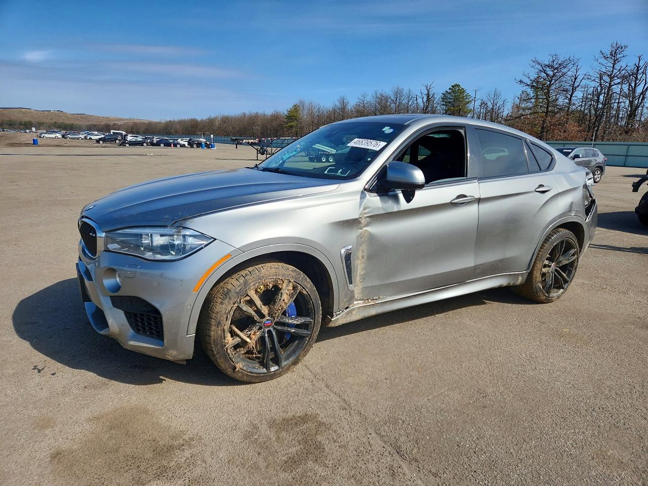 2018 BMW X6