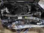 2004 FORD RANGER