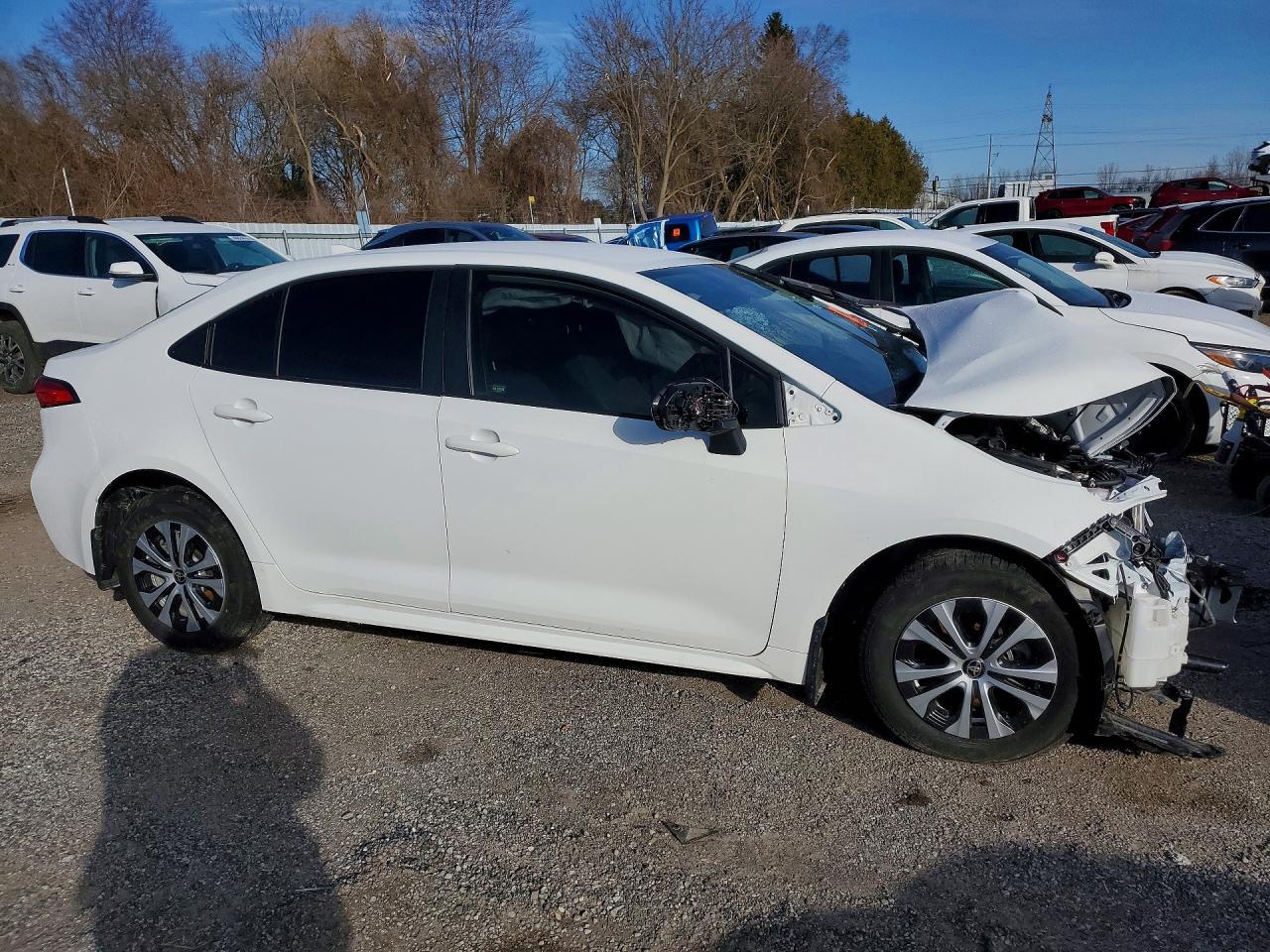 2025 TOYOTA COROLLA