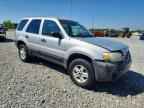 2006 FORD ESCAPE