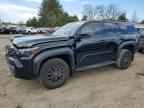 2025 TOYOTA 4Runner