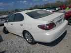 2003 LEXUS Es 300