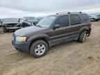 2007 FORD ESCAPE