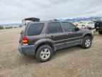 2007 FORD ESCAPE