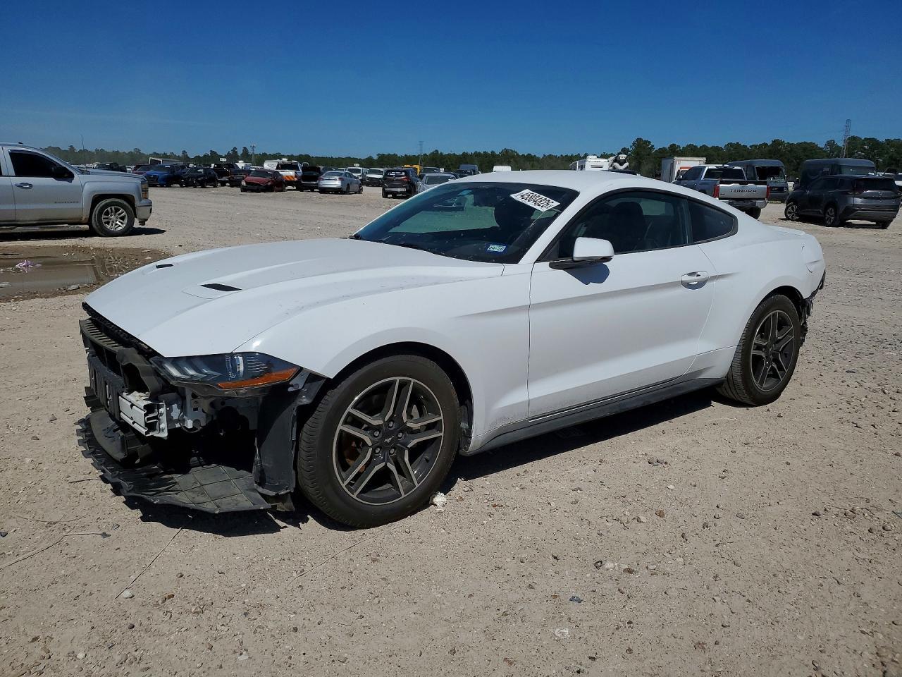2019 FORD MUSTANG
