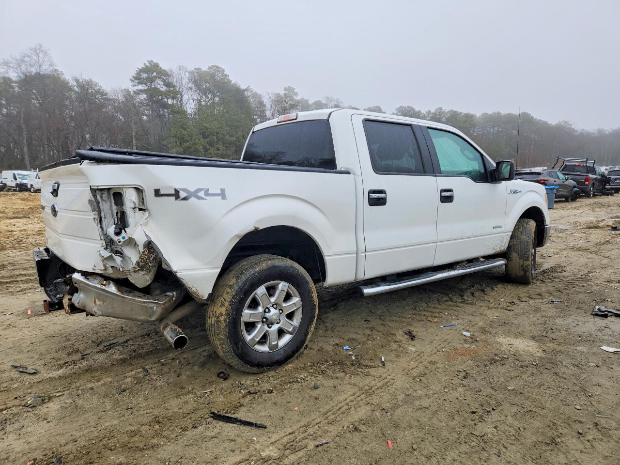 2013 FORD F-150