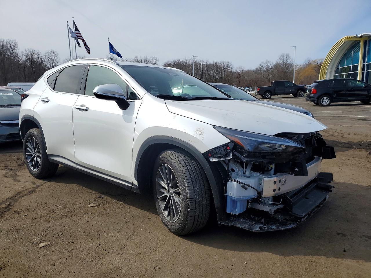 2025 LEXUS NX 350