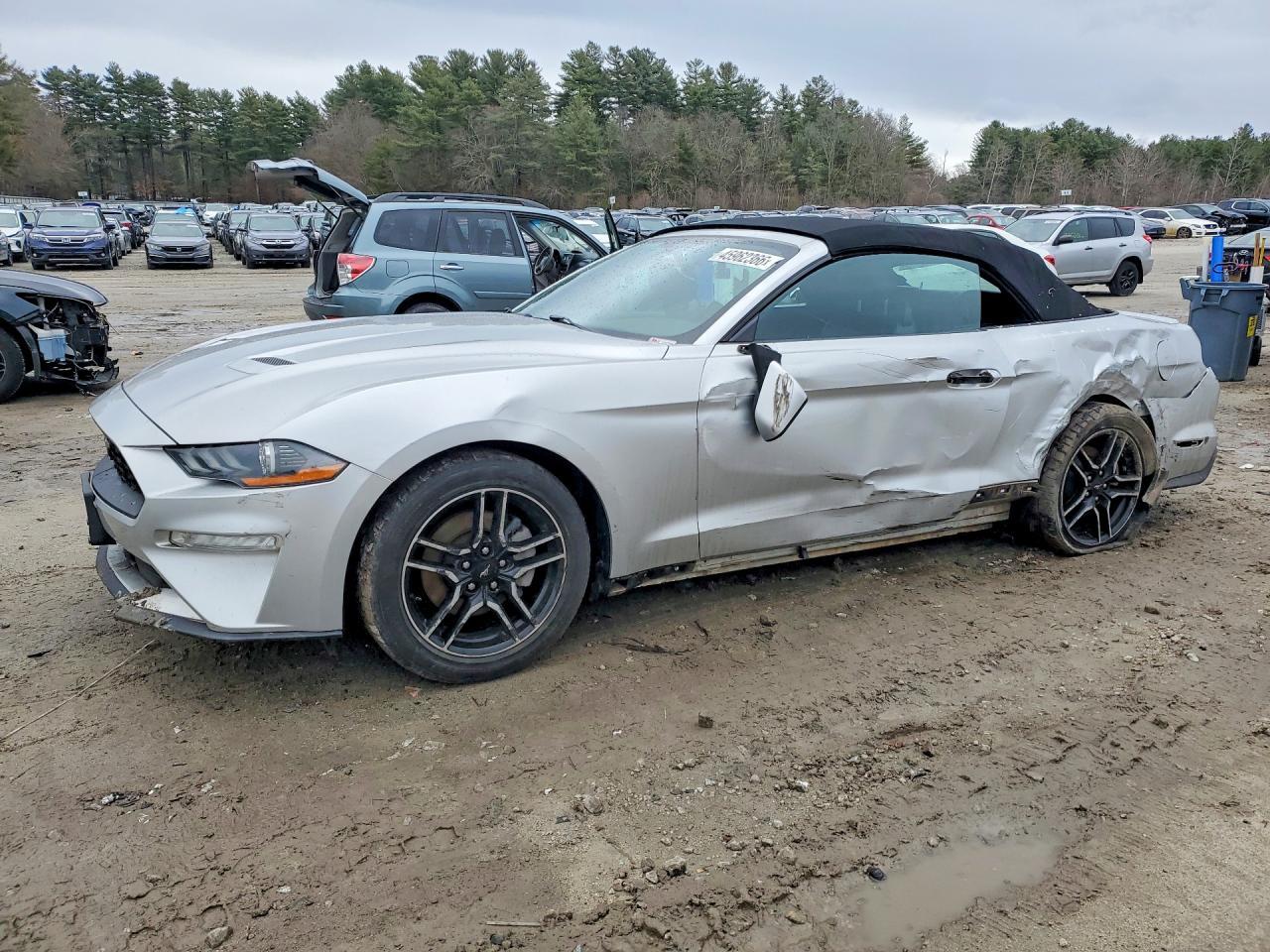 2019 FORD MUSTANG