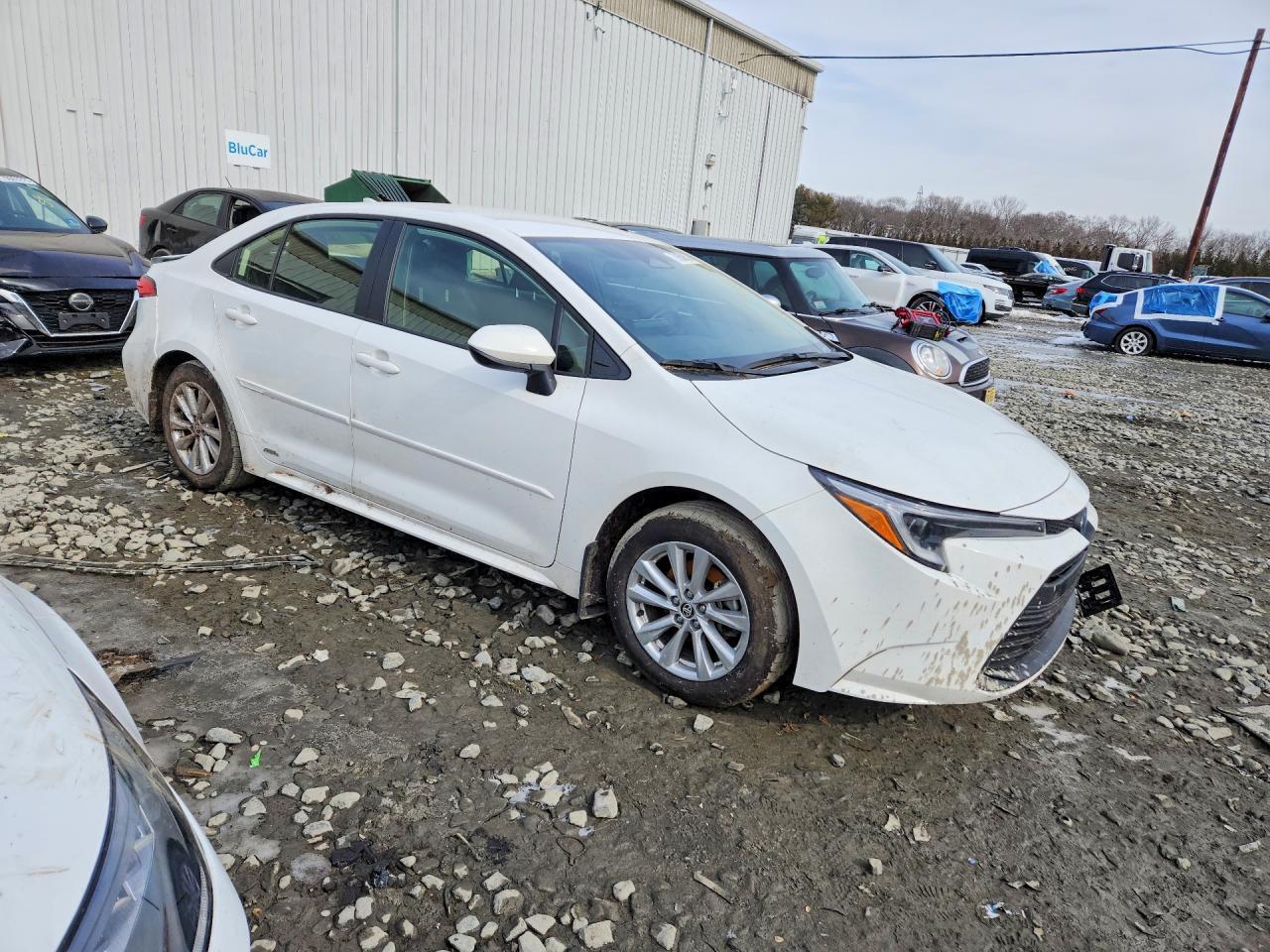 2025 TOYOTA COROLLA