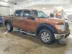 2012 FORD F-150 Lightning
