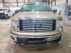 2012 FORD F-150 Lightning