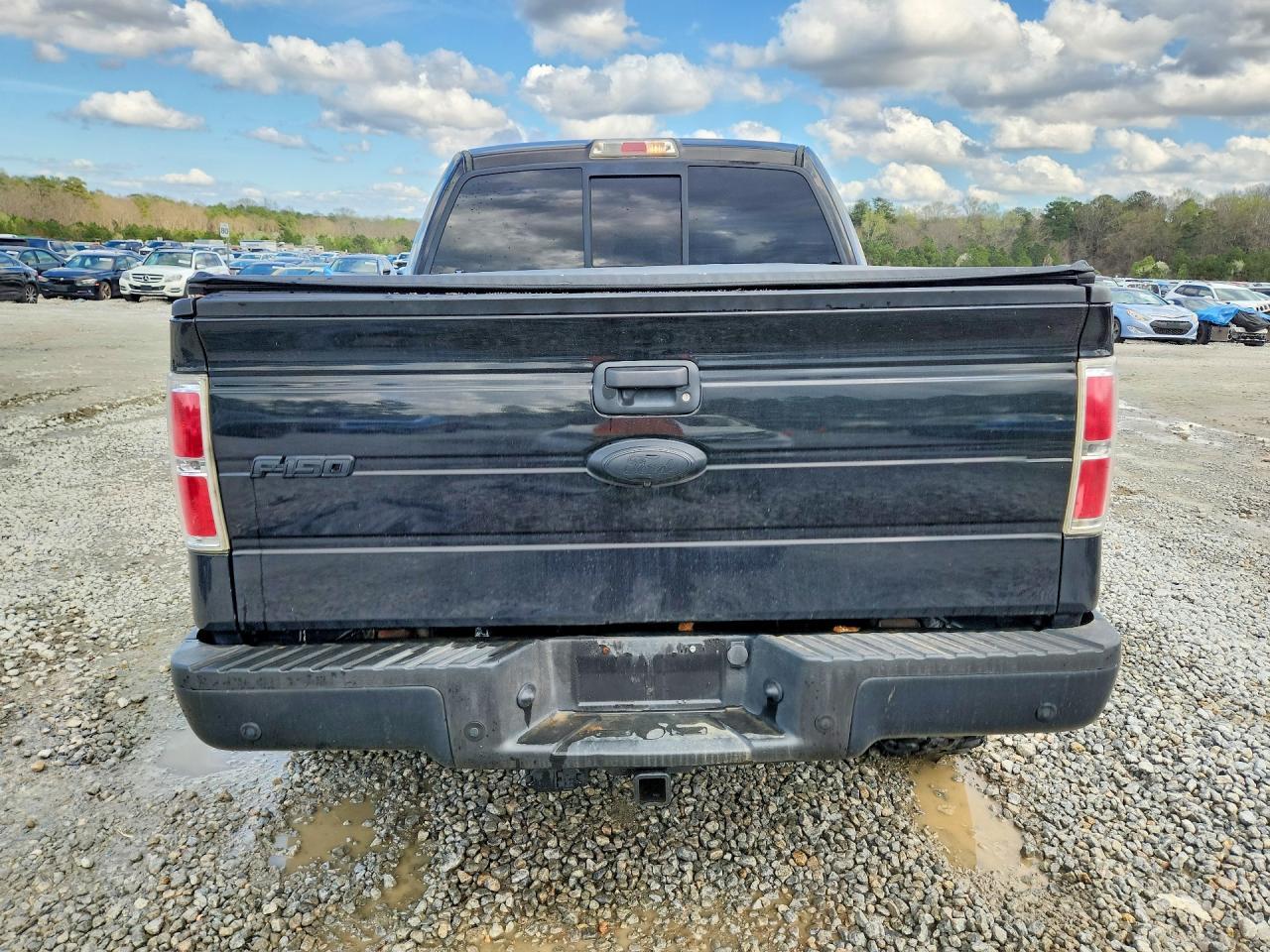 2013 FORD F-150 Lightning