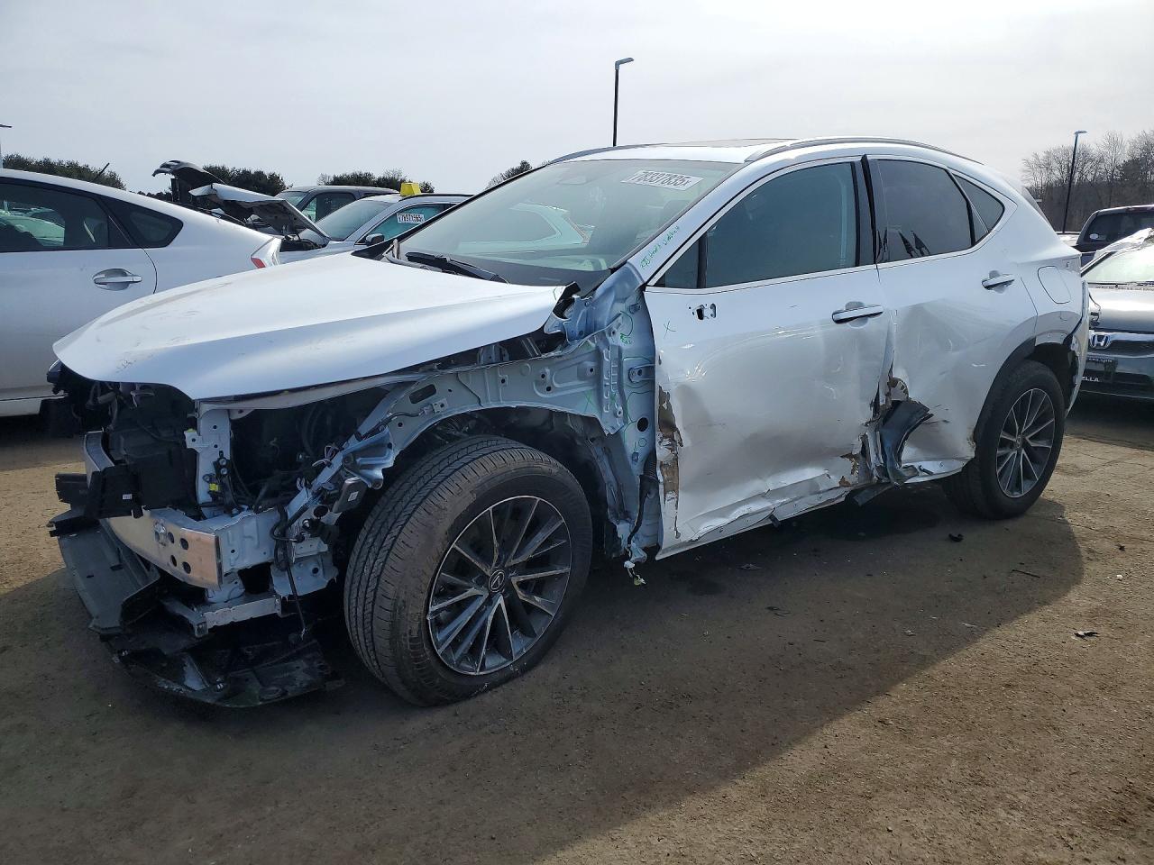 2025 LEXUS NX 350