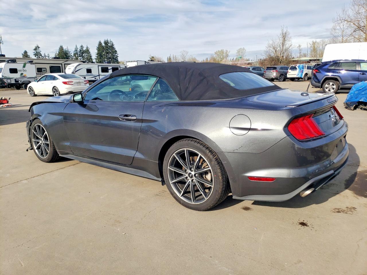 2019 FORD MUSTANG