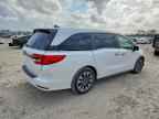 2024 HONDA ODYSSEY