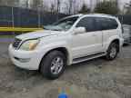 2006 LEXUS Gx 470