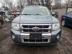 2010 FORD Escape Hybrid