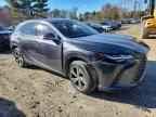 2025 LEXUS RX 350