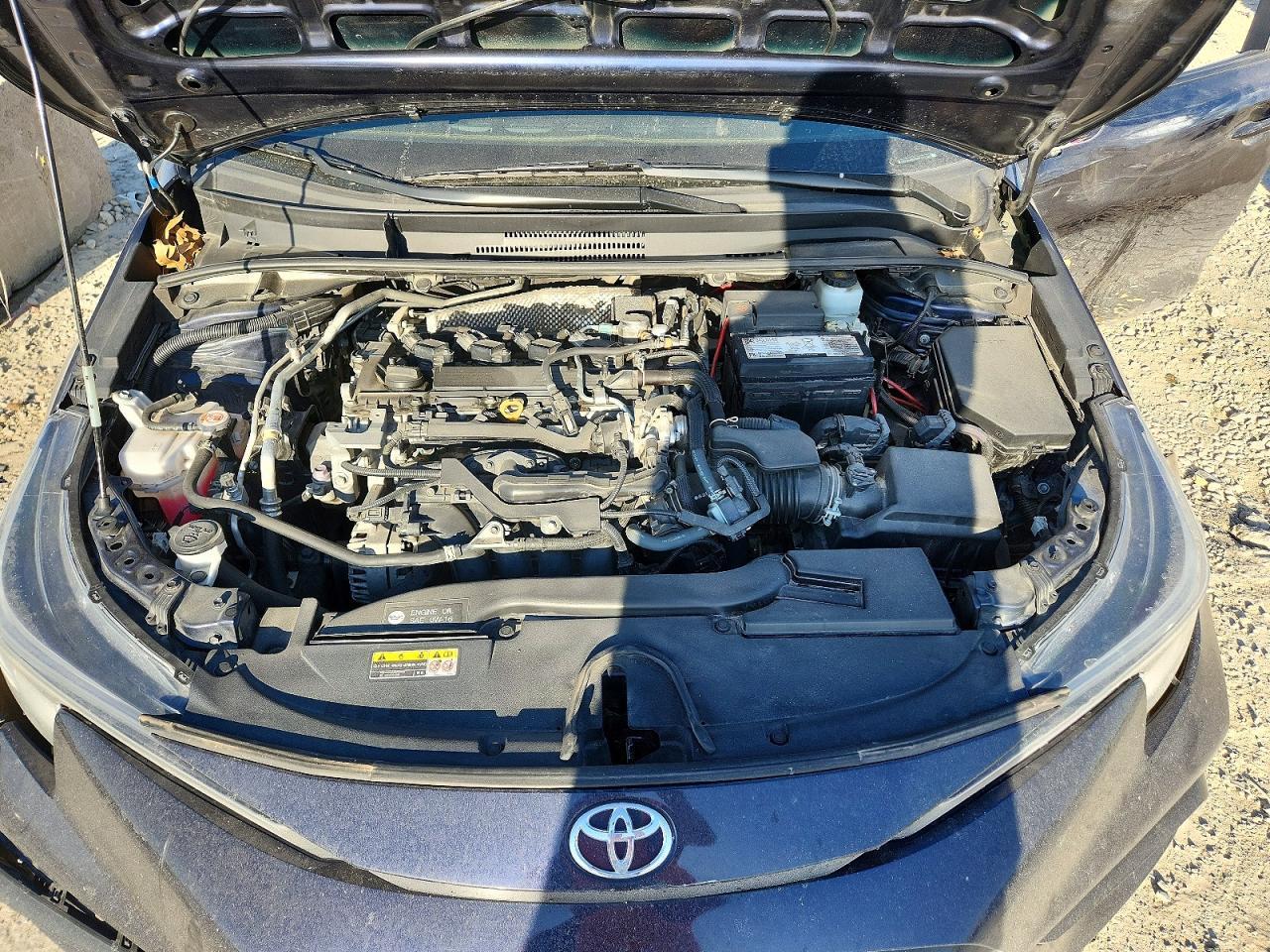2023 TOYOTA COROLLA
