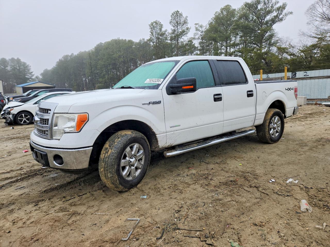 2013 FORD F-150