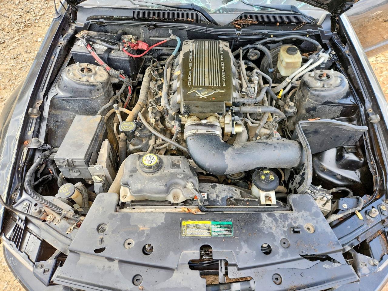 2007 FORD MUSTANG