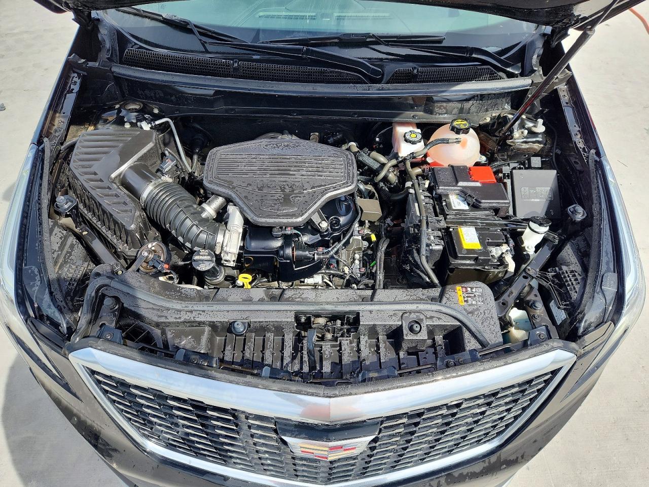 2024 CADILLAC XT5