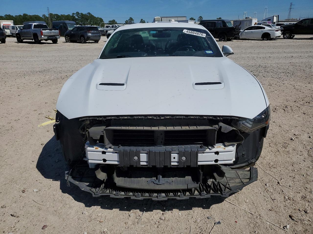 2019 FORD MUSTANG