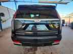 2023 CADILLAC ESCALADE