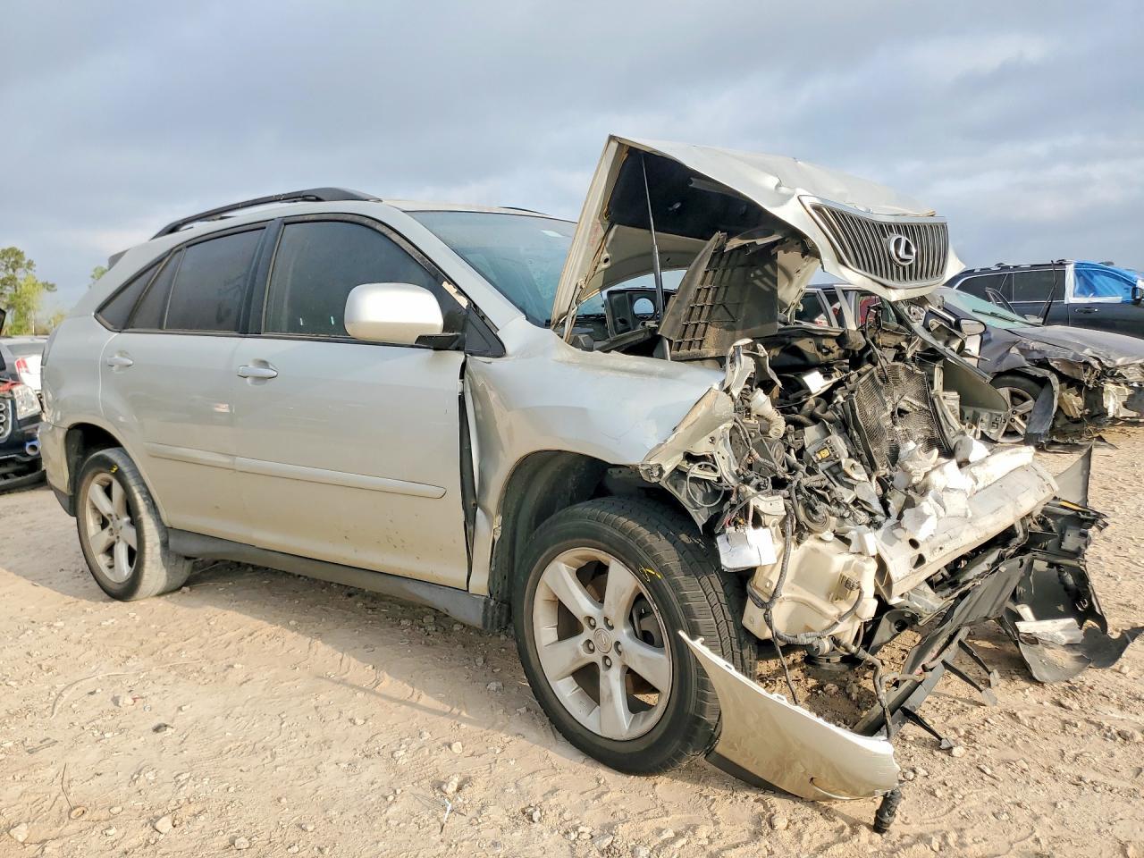 2004 LEXUS Rx 330