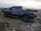 2013 FORD F-150 Lightning