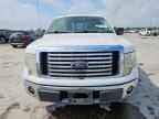 2010 FORD F-150 Lightning