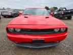 2014 DODGE Challenger