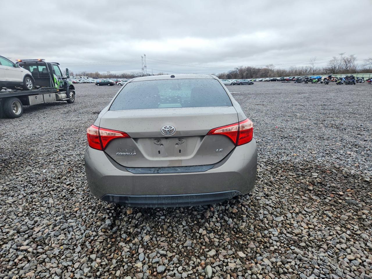 2019 TOYOTA COROLLA