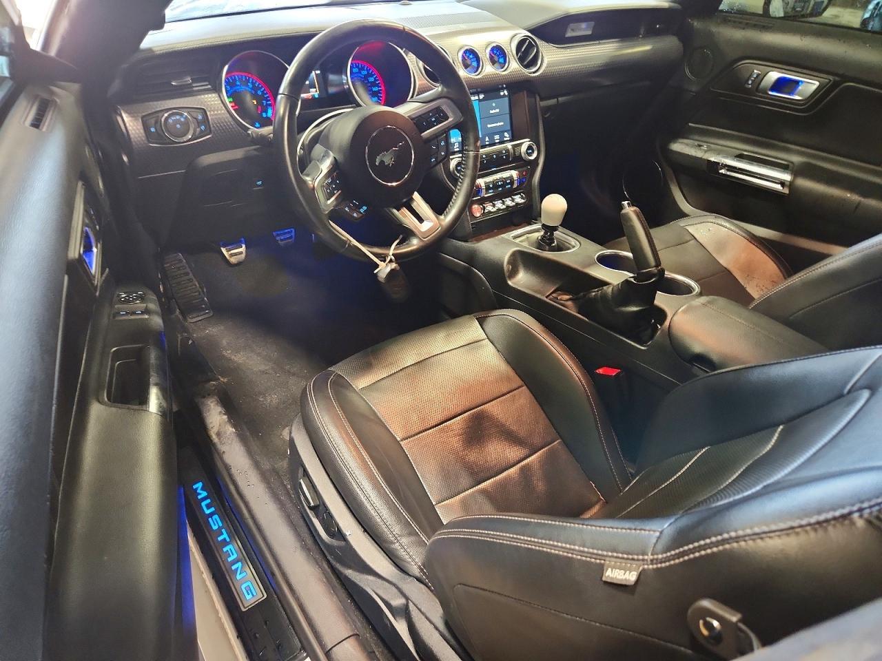 2019 FORD MUSTANG