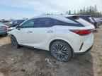 2024 LEXUS RX 350H