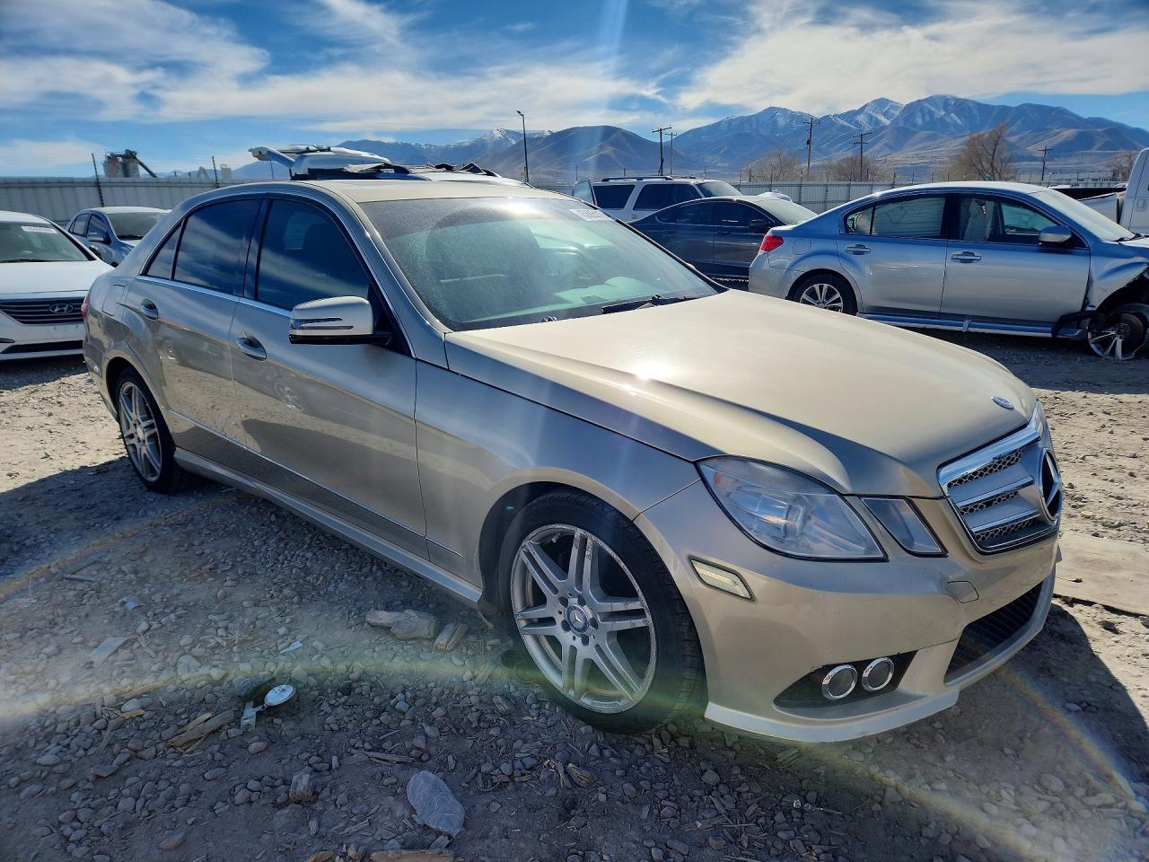 2010 MERCEDES-BENZ E-Class