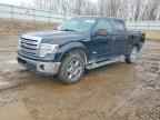 2013 FORD F-150 Lightning