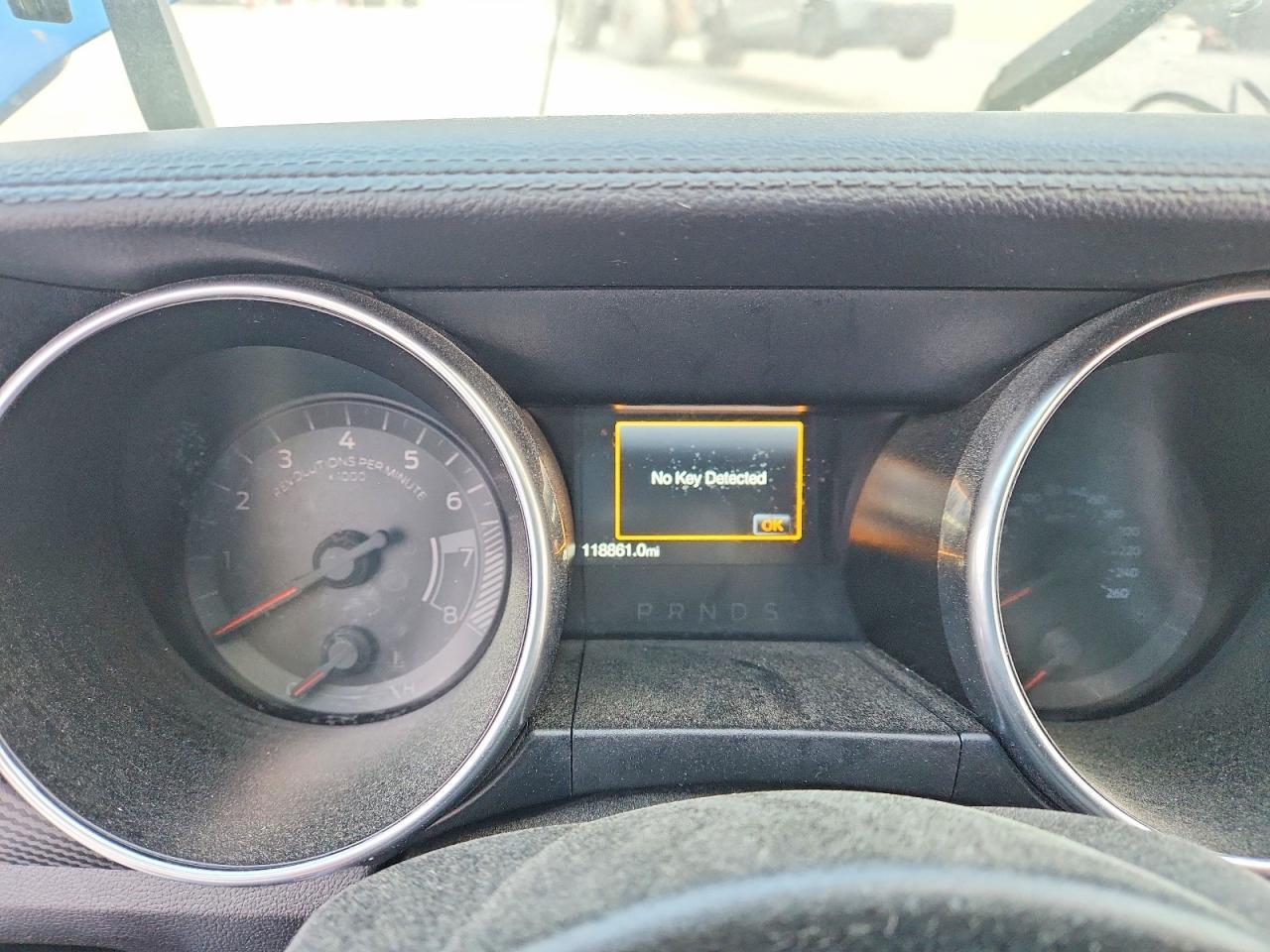 2019 FORD MUSTANG