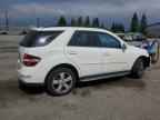 2010 MERCEDES-BENZ ML-Class