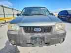 2006 FORD ESCAPE