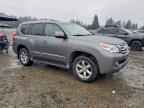 2010 LEXUS Gx