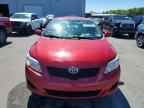 2009 TOYOTA COROLLA
