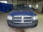 2007 DODGE Dakota