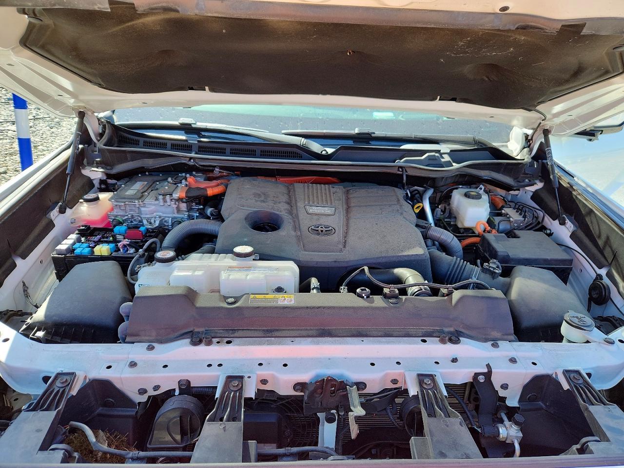 2023 TOYOTA Sequoia