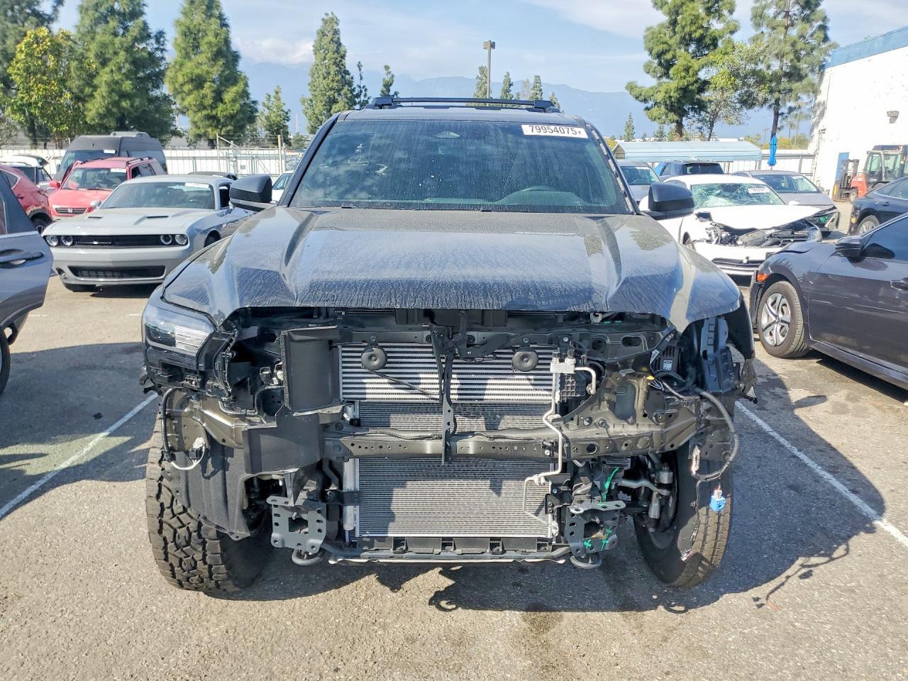 2025 TOYOTA 4Runner